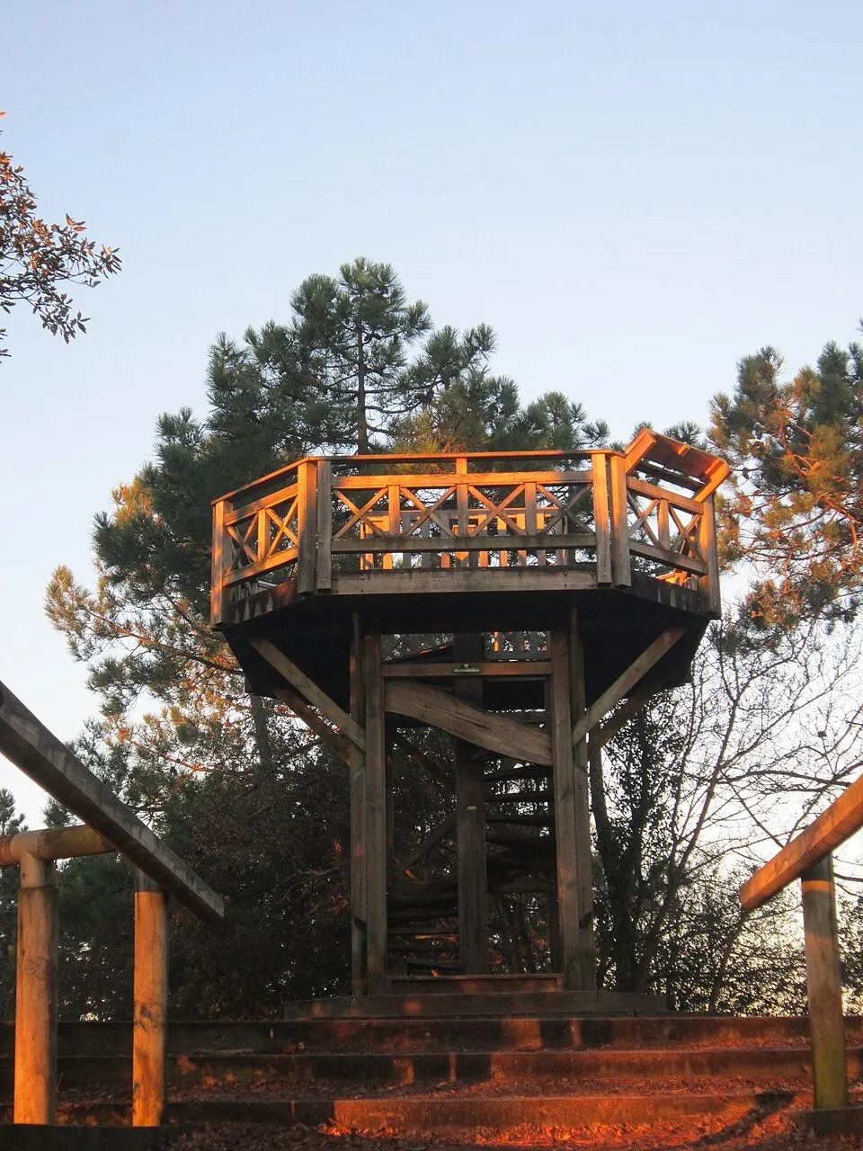 Belvédère en bois du Pey de la Blet parmi les pins